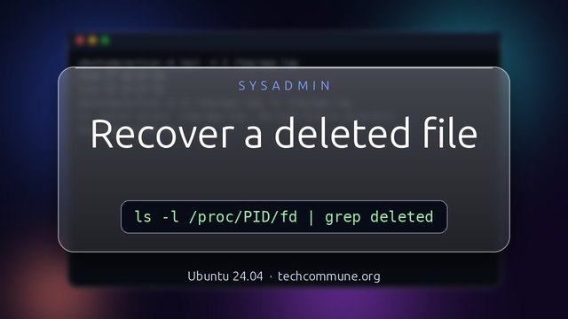 Recover a Deleted File