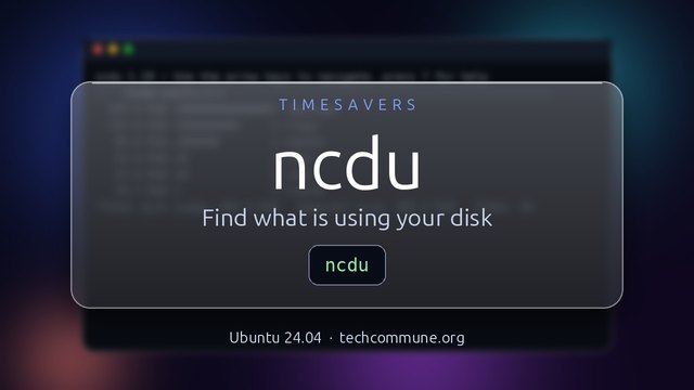 ncdu: find what is using your disk